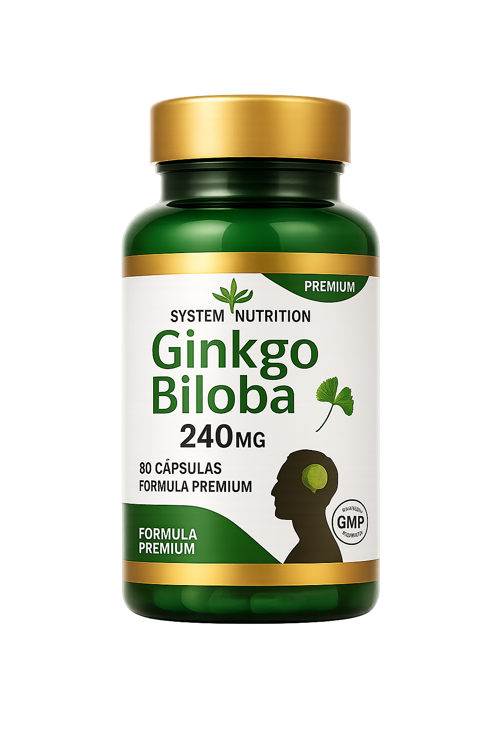 GINKGO BILOBA 240 MG — SYSTEM NUTRITI